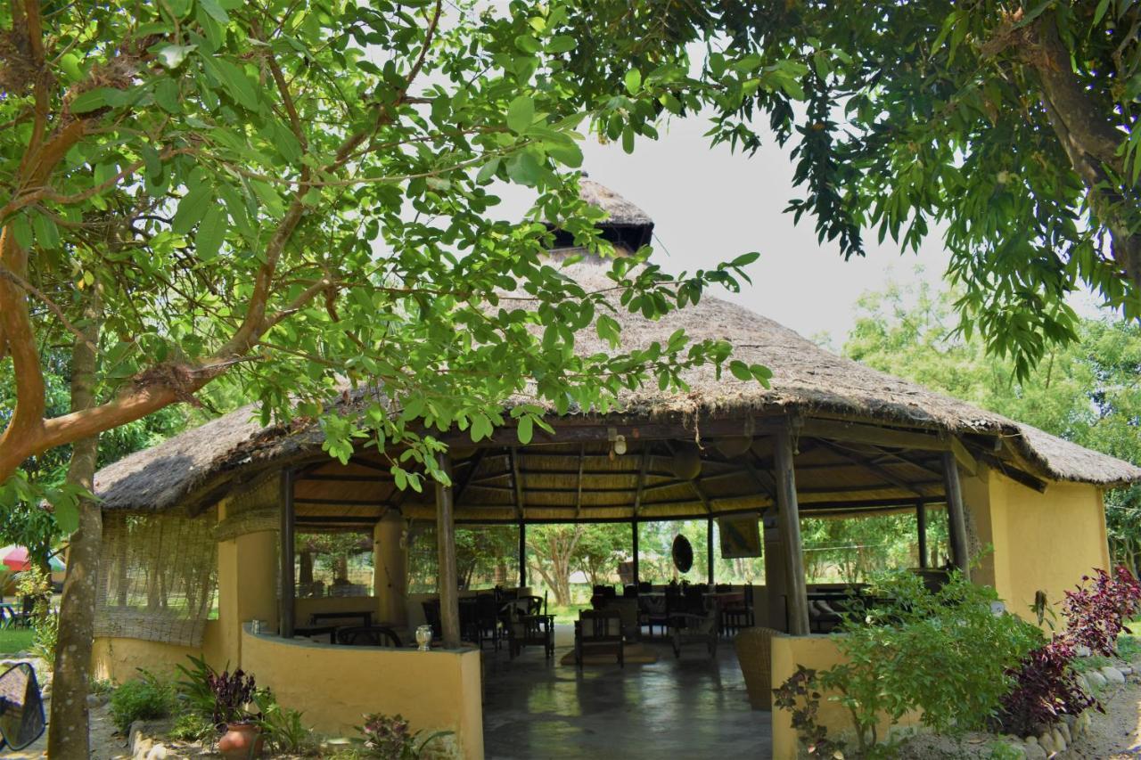 Mango Tree Lodge バルディヤ エクステリア 写真